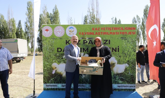 5 bin kaz palazı dağıttı