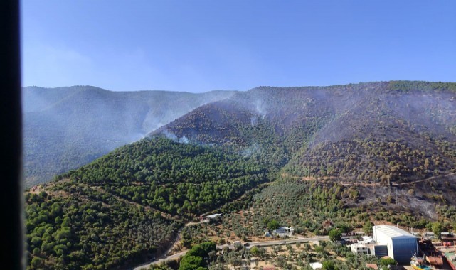 Yalova-Bursa sınırındaki korkutan yangın kontrol altına alındı